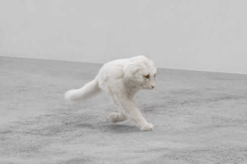 half cat Eva and Franco Mattes